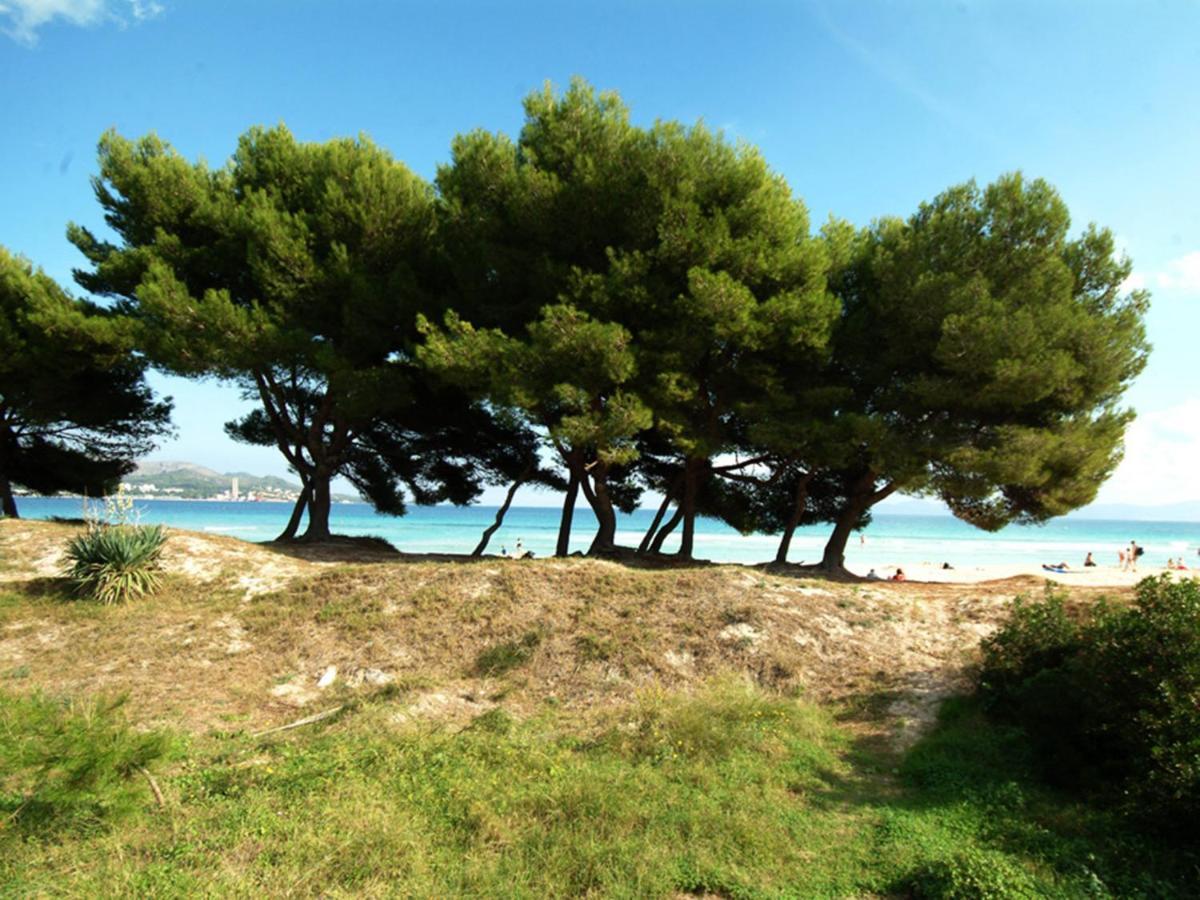Apartamento Countess Attic 2-3, Sun Of The Bay Vidalba 3, At Alcúdia